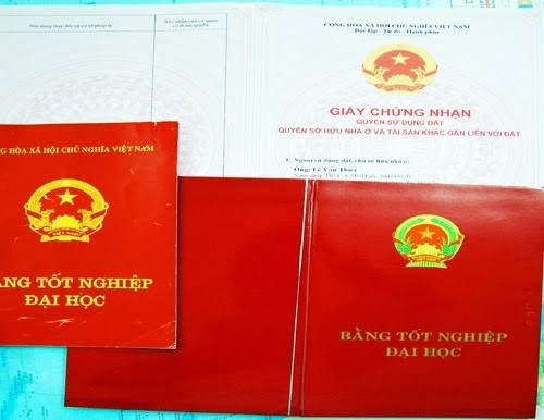 Có nên làm bằng đại học giả hay không?